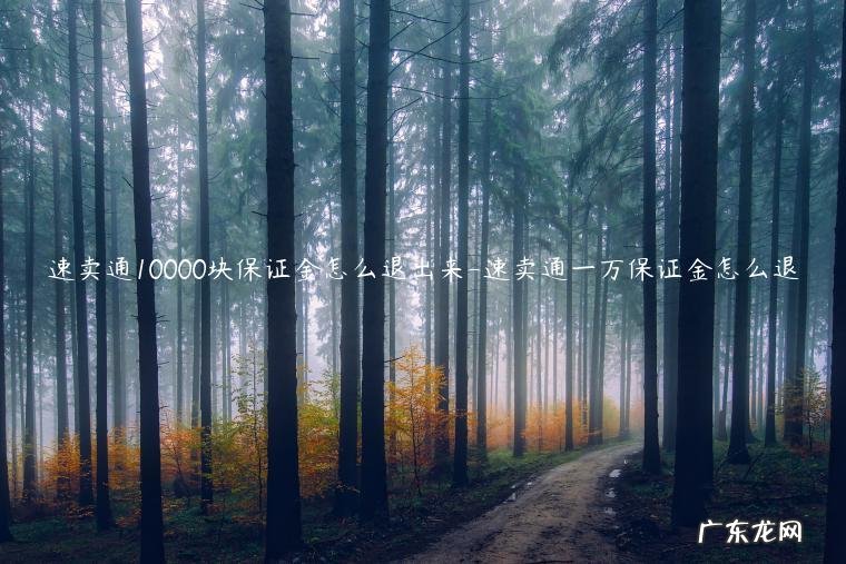 速卖通押金取回教程 速卖通10000块保证金怎么退出来