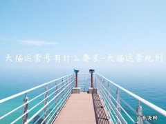 天猫运营是干嘛的 天猫运营号有什么要求