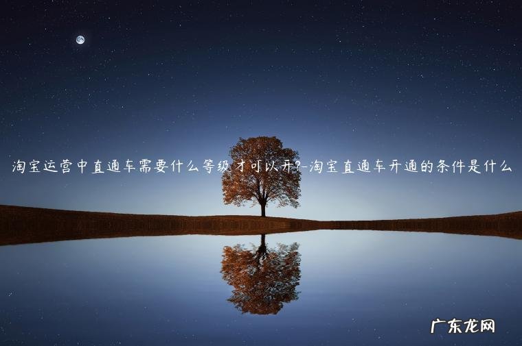 淘宝直通车怎样开 淘宝运营中直通车需要什么等级才可以开
