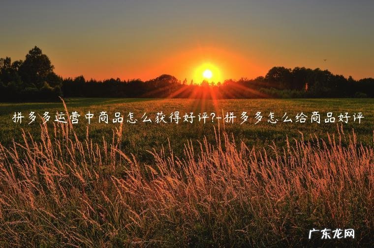 拼多多评价商品 拼多多运营中商品怎么获得好评