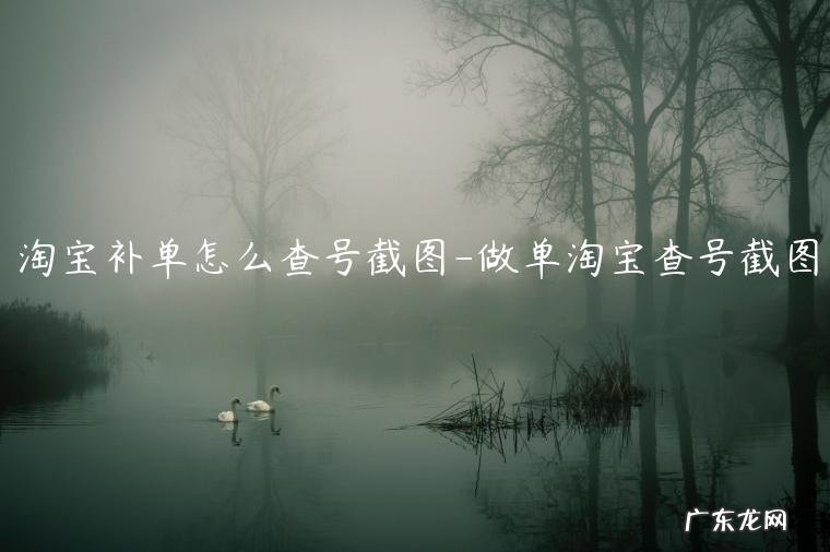 淘宝补单怎么查物流 淘宝补单怎么查号截图