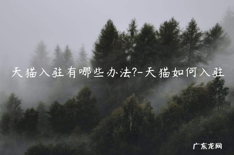 怎么入驻天猫很简单过了 天猫入驻有哪些办法