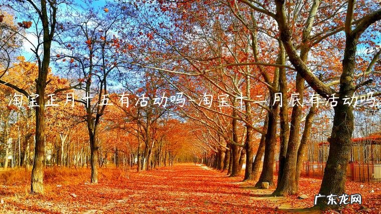 正月十五有什么活动 淘宝正月十五有活动吗