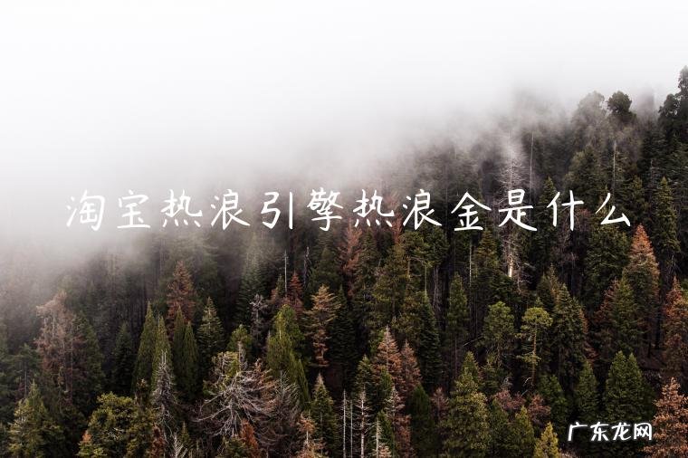 淘宝热浪引擎热浪金是什么