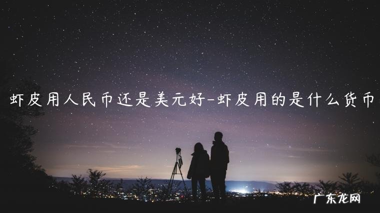 虾皮用的是什么货币 虾皮用人民币还是美元好