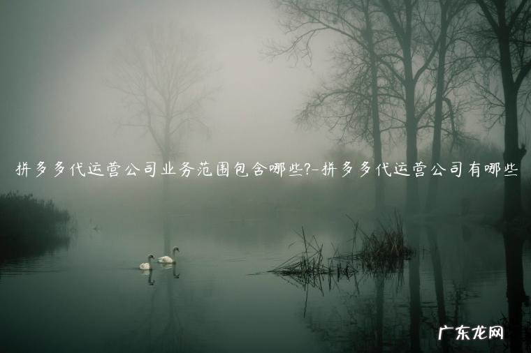 拼多多的业务范围 拼多多代运营公司业务范围包含哪些