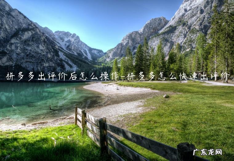 在拼多多上评价完之后怎么找自己的评价 拼多多出评价后怎么操作