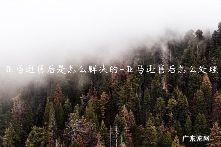 亚马逊海淘售后怎么办 亚马逊售后是怎么解决的