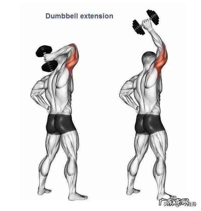 在家健身哑铃练胸 五十岁男，在家中健身选择多重的哑铃合适？
