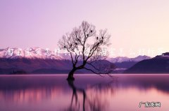 淘宝卖家如何给买家打标签 淘宝宝贝怎样打标签