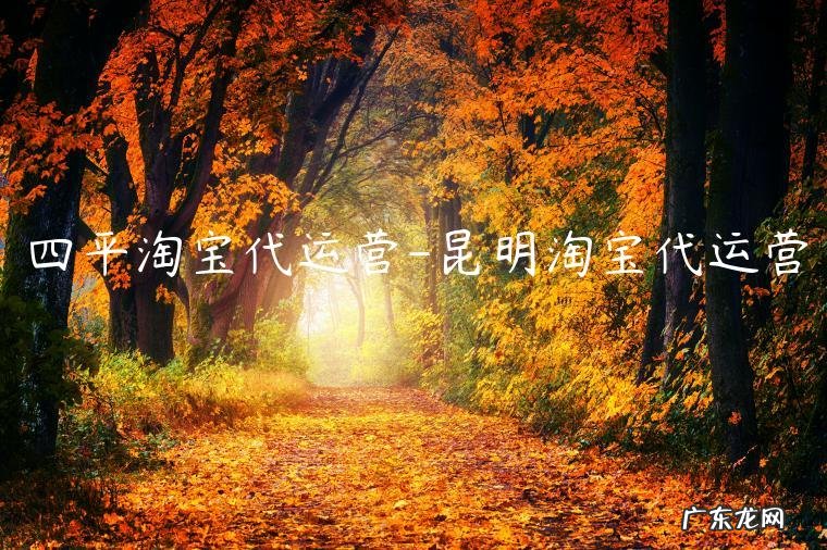 四平淘宝代运营