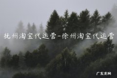 徐州淘宝代运营 抚州淘宝代运营