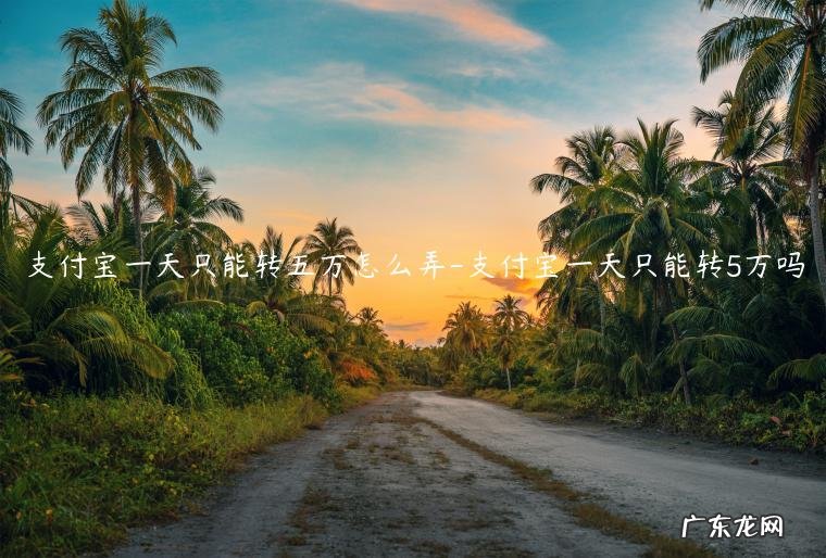 支付宝一天可以转几万 支付宝一天只能转五万怎么弄