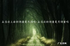 亚马逊能看到销量吗 亚马逊上面的销量是月销吗