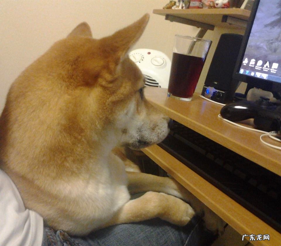 寂寞是你给的苦是什么歌的歌词 是寂寞犯的错就别说你爱我这首歌叫什么?