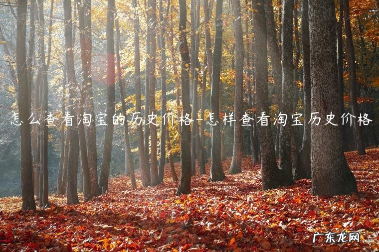 如何查询淘宝历史价格 怎么查看淘宝的历史价格