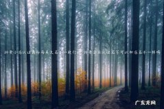 抖音小店商标授权是什么意思 抖音小店认证商标与英文名不一致行吗