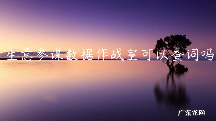 生意参谋数据作战室可以查词吗