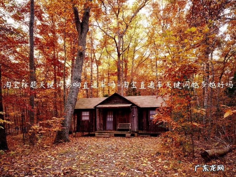 宝贝标题和直通车关键词区别 淘宝标题关键词影响直通车吗