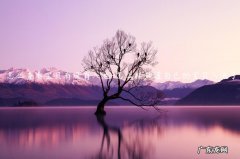 宝贝入池是什么意思 怎么查看宝贝有没有入池