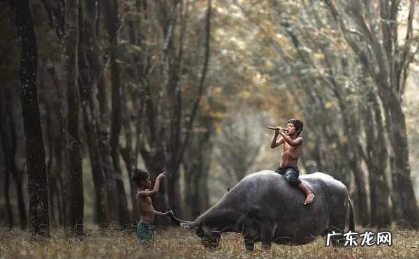 80后的童年?请这里报到?