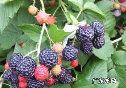 80后的童年?请这里报到?