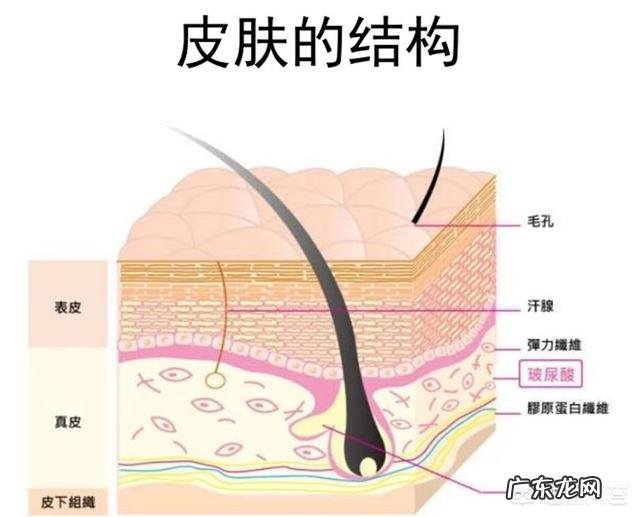 明明补了水,皮肤还是很干,如何科学地让皮肤“喝饱”水