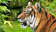 避孕药和维生素能一起吃吗一起吃好吗