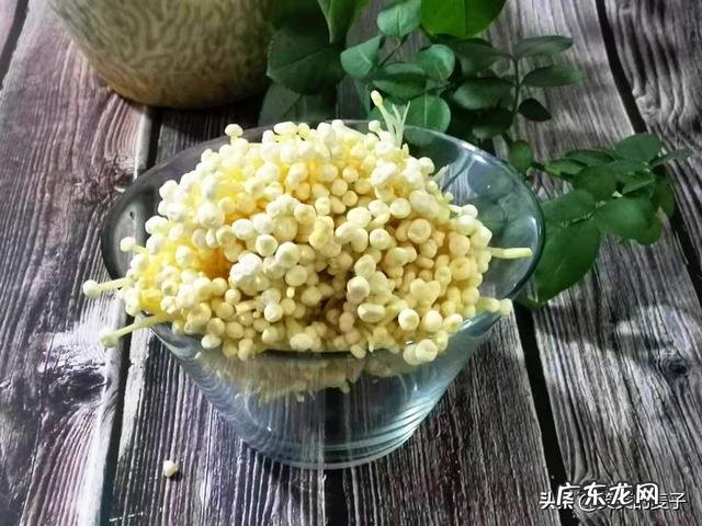 吃够水煮鸡胸肉了,鸡胸肉还有其他适合减肥吃的做法吗?