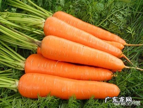 体重减了怎么塑形 减到满意的体重后怎么塑形？