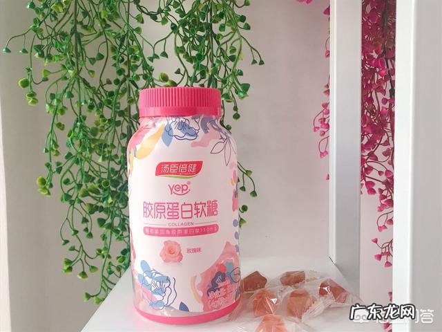 什么食物可以补充胶原蛋白？