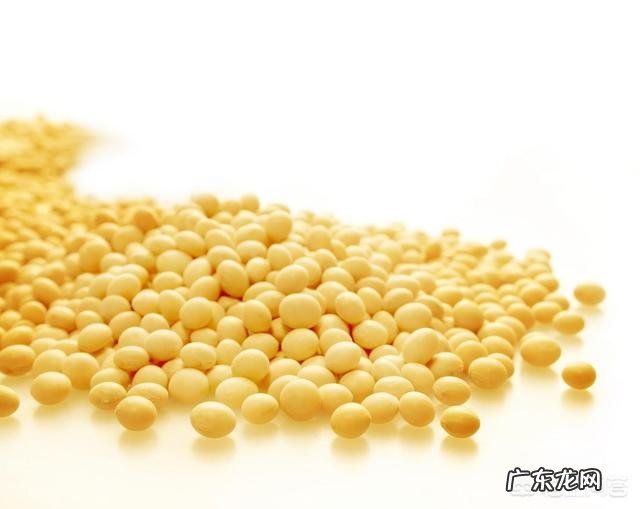 什么食物可以补充胶原蛋白？