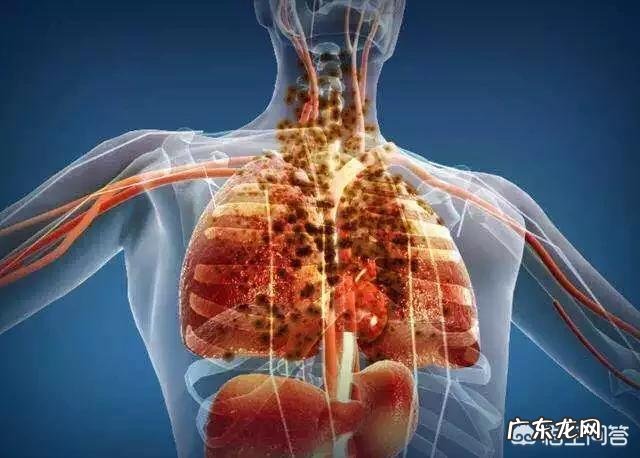 长时间吸烟肺部如何修复?