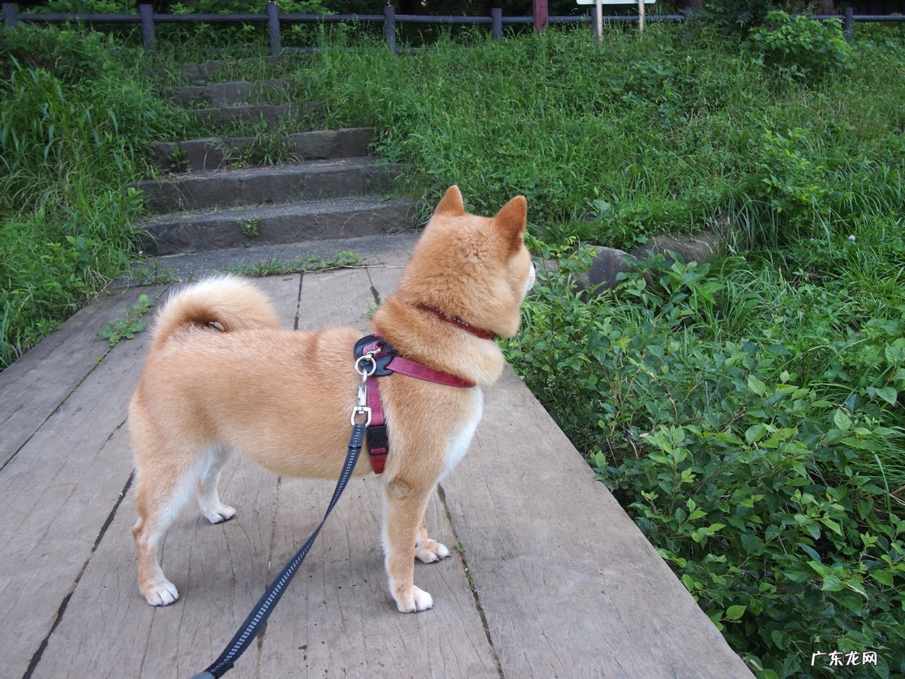 今年《中药综》是如何“以用定考”的?