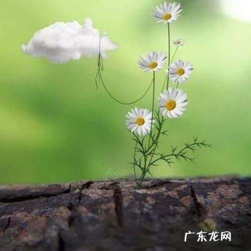 经络打通前身体的反应 身体经络真正通了,人会有哪些反应?