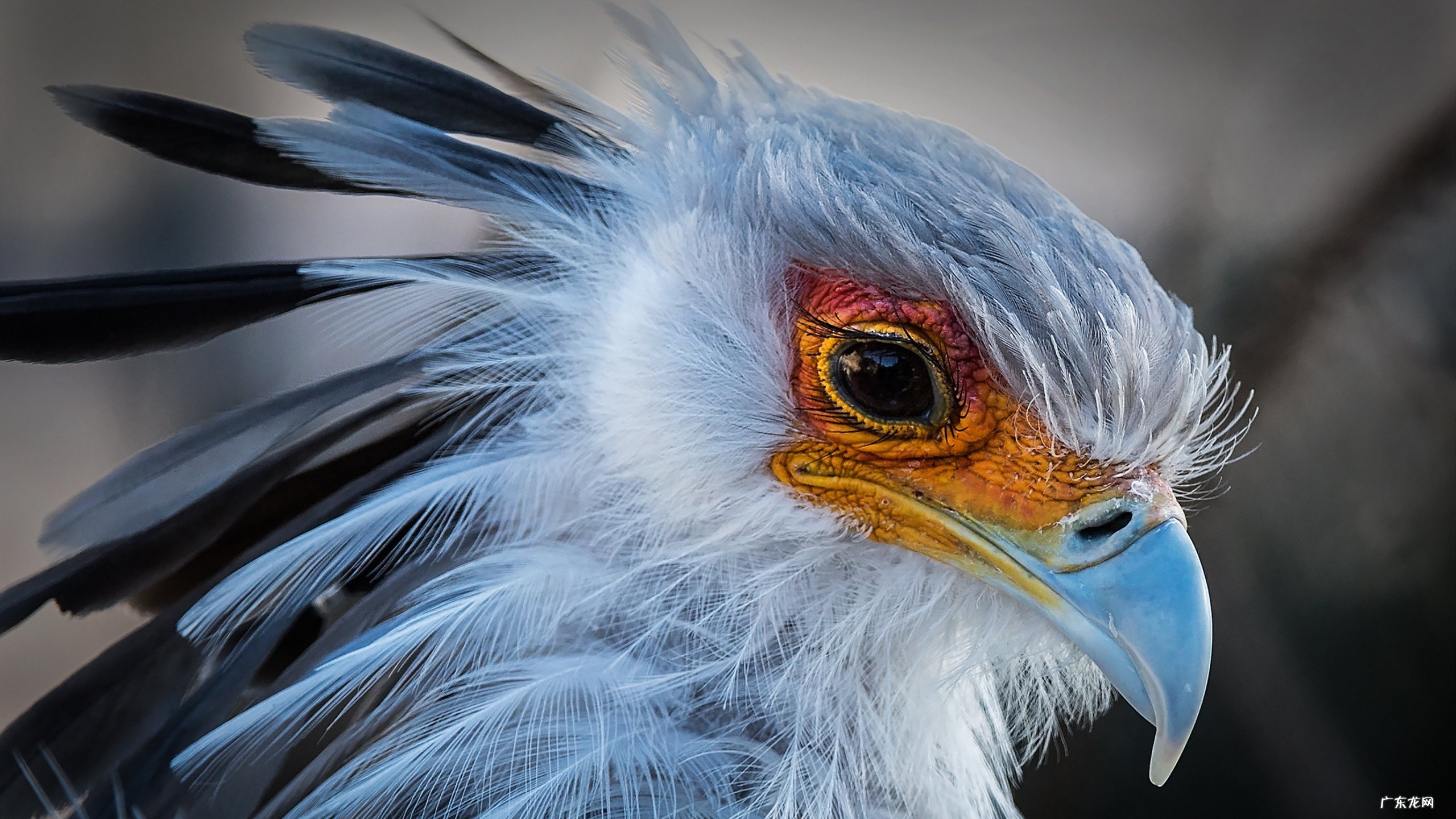 韩国高高帅帅男明星 要一些韩国帅帅的男明星?