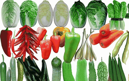 减肥后有什么方法可以防止体重反弹?