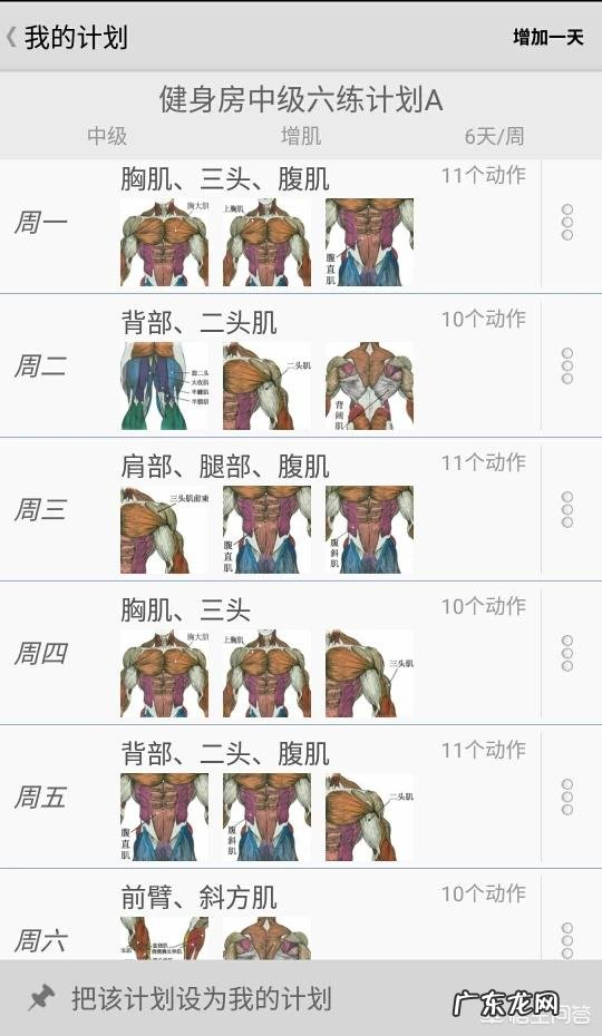 中等身材的男生应该怎么增肌