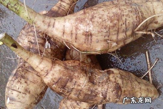 肝硬化出现癌变,身体会出现什么前兆?