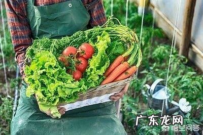 如何正确的煎煮和服用中药汤剂?