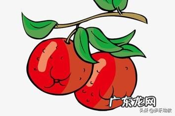 月子要吃什么帮助排恶露 坐月子需要多吃哪些食物呢?可以帮助恢复元气,也利于恶露排出?