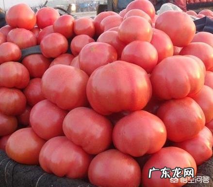 番茄炒丝瓜怎么做才好吃 番茄丝瓜大概需要蒸多长时间?怎么做比较好吃?