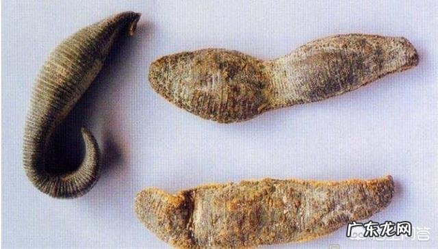 吃了中药后发现已经怀孕了,有影响吗?