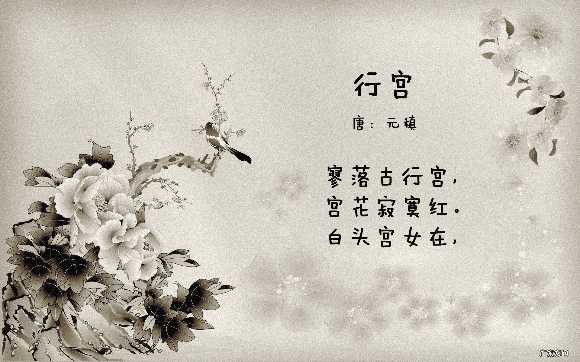 作文写小猫的生活习性怎么写