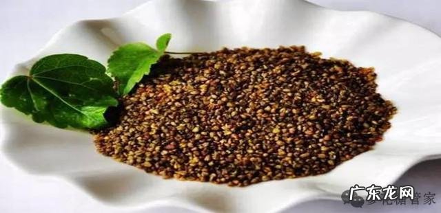 “三降”养生苦荞麦茶，吃法知多少？