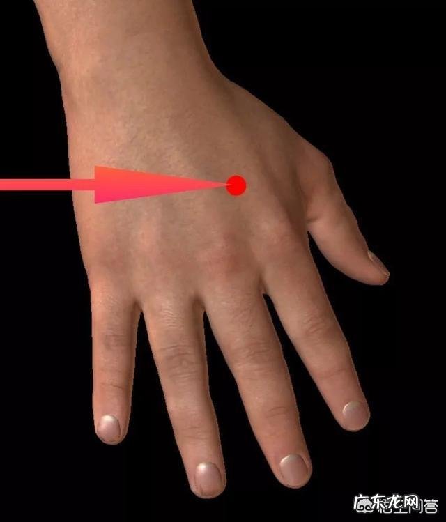 高血压降压穴位图 高血压摁哪些穴位可以缓解?