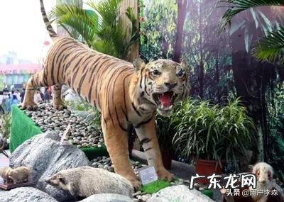 如果李逵也赤手空拳的话，能打死一只老虎吗