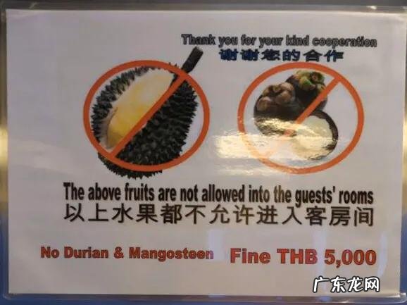 经常出国的人,能不能分享一下各个国家的一些禁忌?