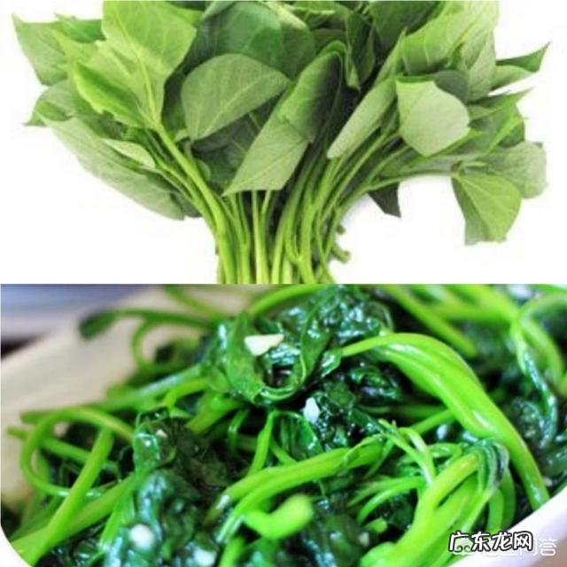 养生新宠红薯叶营养价值如何？真的有神奇的保健功效吗？