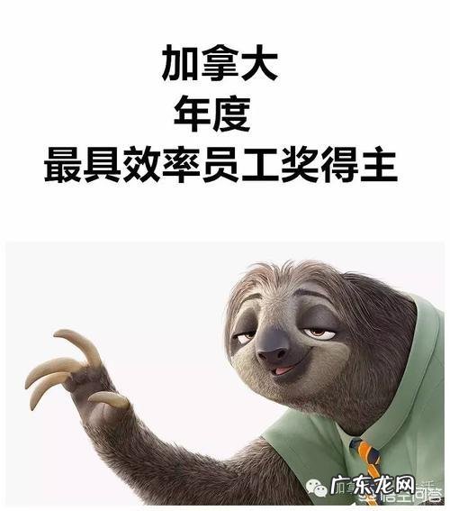 加拿大多伦多的具体生活花费是多少